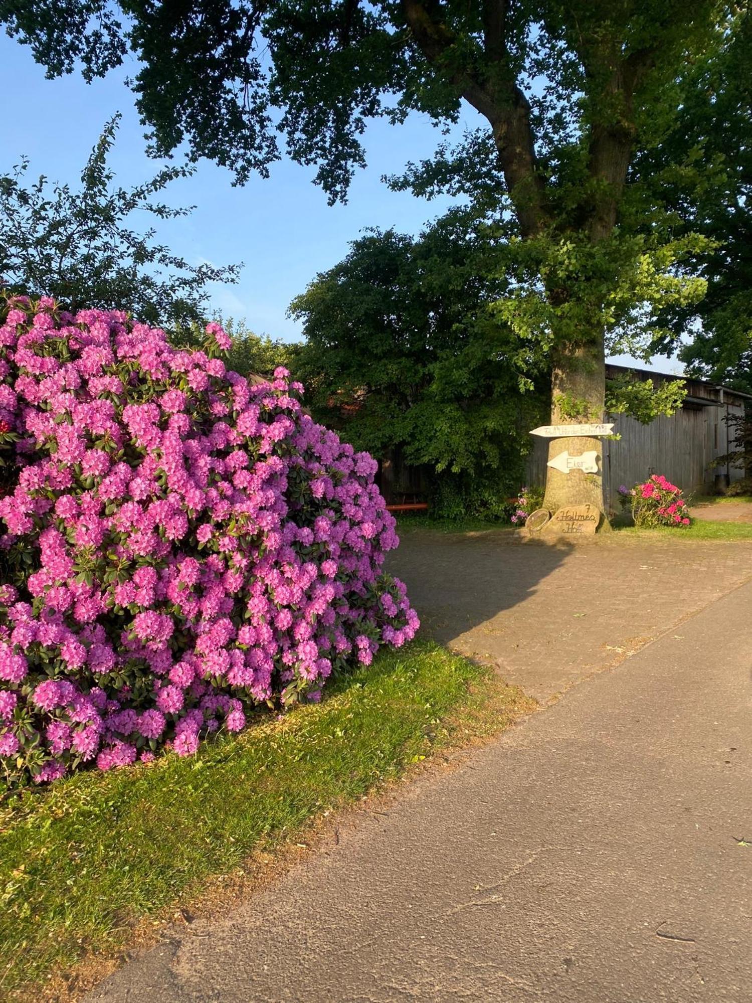 Unter Den Eichen Apartamento Botersen Exterior foto